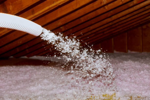 Best Energy-efficient Insulation  in Bethany, MO