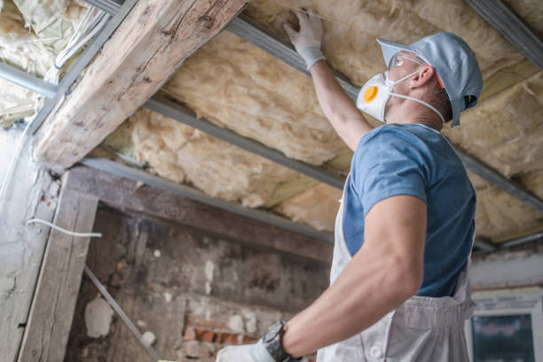 Best Insulation Replacement Services  in Bethany, MO
