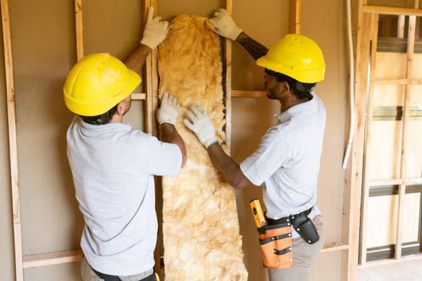 Best Blown-in Insulation  in Bethany, MO